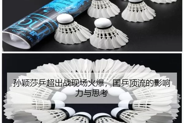 sun-ying-sha-ping-chao-chu-zhan-xian-chang-huo-bao-guo-ping-ding-liu-de-ying-xiang-li-yu-si-kao-2-663.jpg